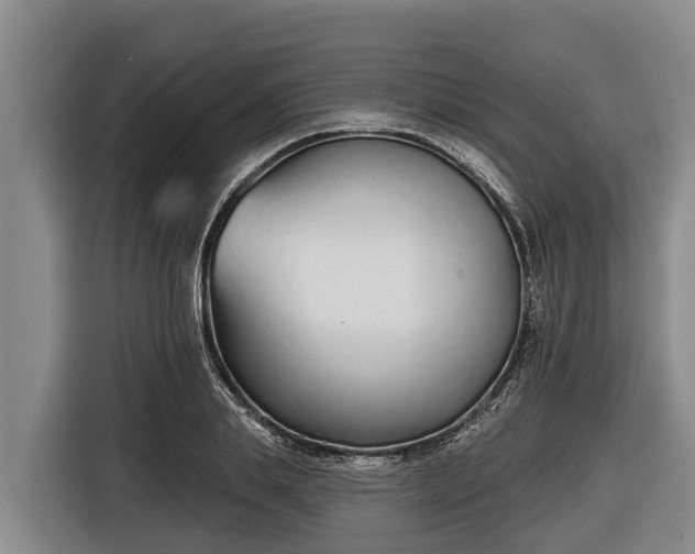 X0000116810839200912241219