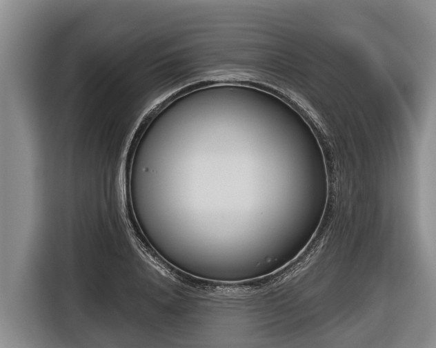 X0000116810840200912241219