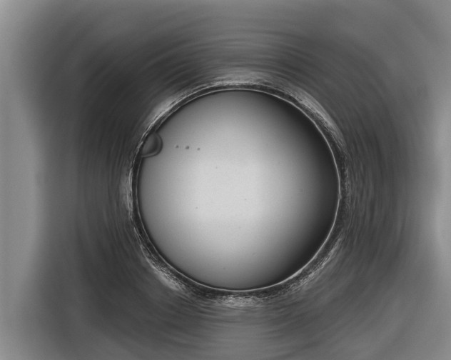 X0000116810842200912241219