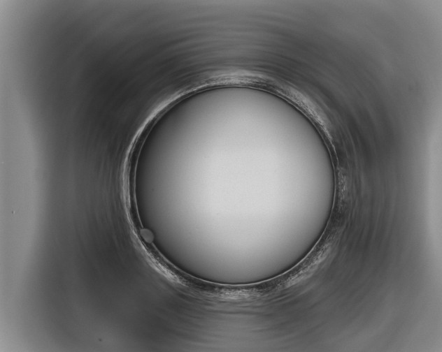 X0000116810843200912241219