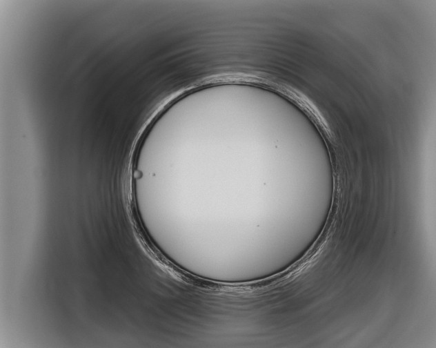 X0000116810844200912241219