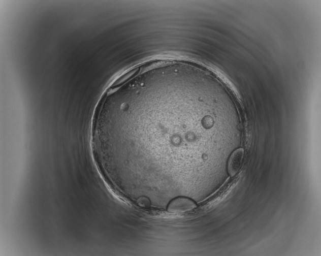 X0000116810845200912241219