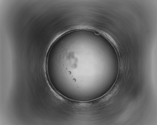 X0000116810847200912241219