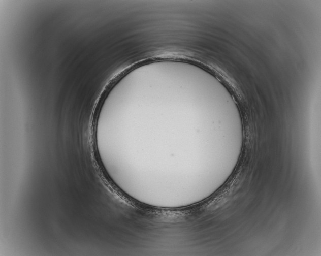 X0000116810848200912241219