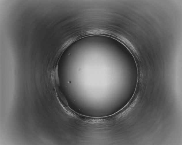 X0000116810849200912241219