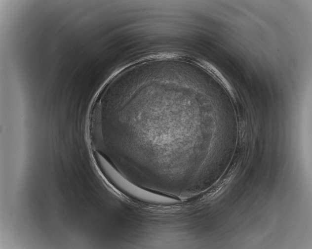 X0000116810851200912241219