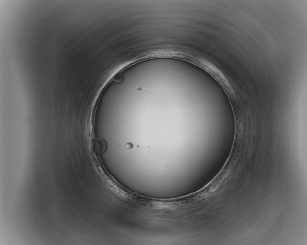 X0000116810852200912241219