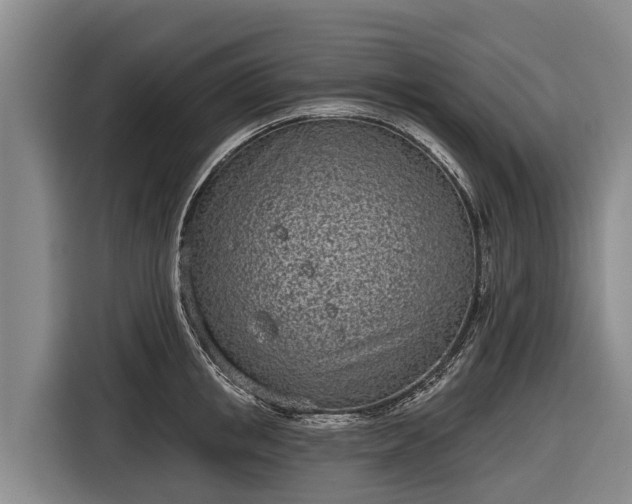 X0000116810853200912241219