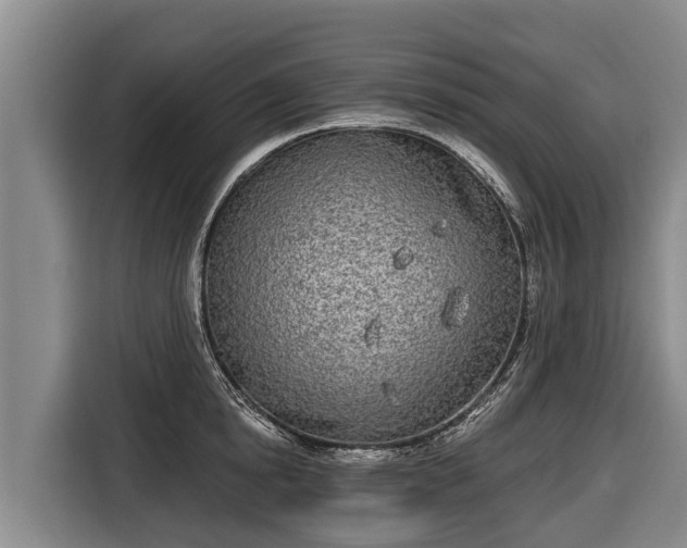 X0000116810854200912241219