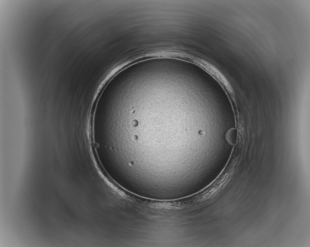 X0000116810855200912241219