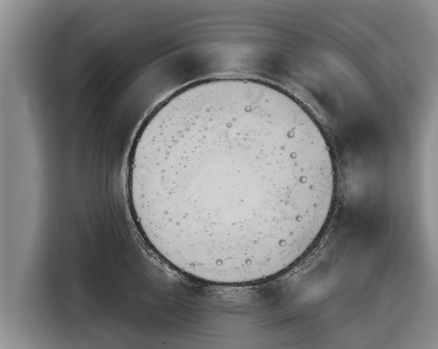 X0000116810856200912241219