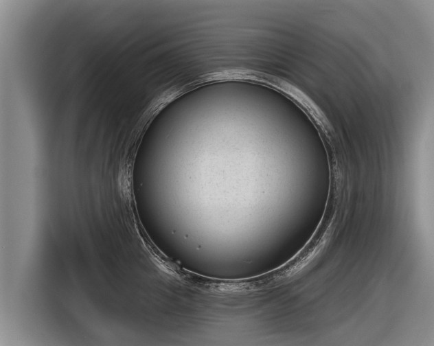 X0000116810857200912241219