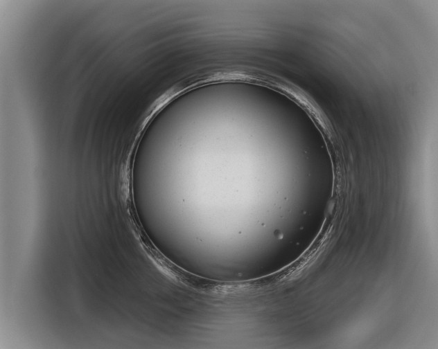 X0000116810858200912241219