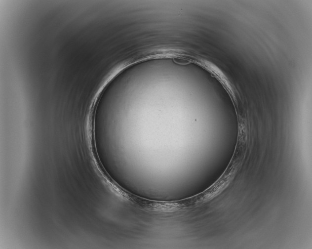 X0000116810859200912241219