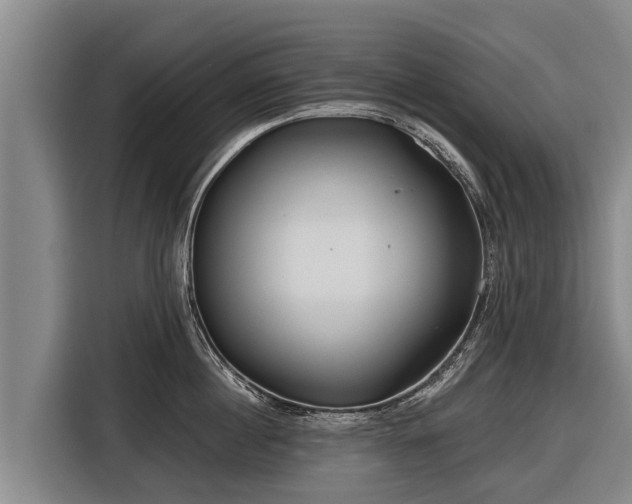 X0000116810860200912241219