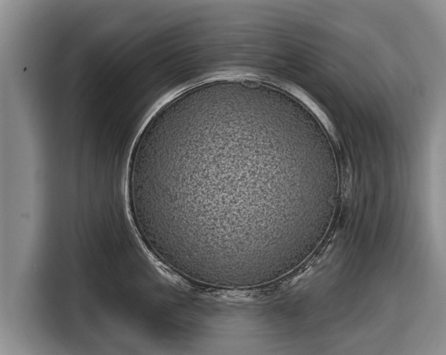 X0000116810861200912241219