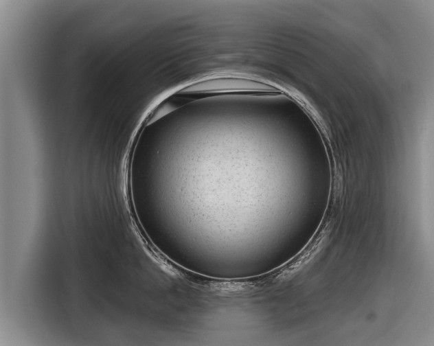 X0000116810862200912241220