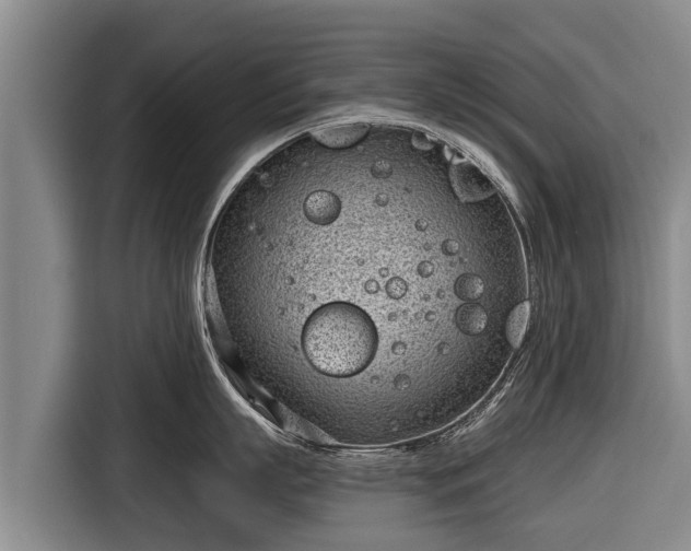 X0000116810863200912241220