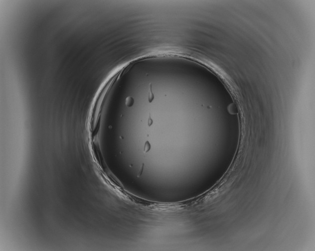 X0000116810864200912241220