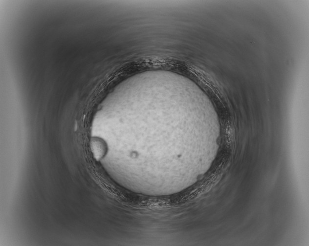 X0000116810865200912241219