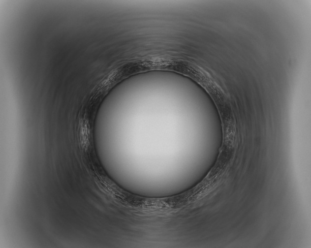 X0000116810866200912241219