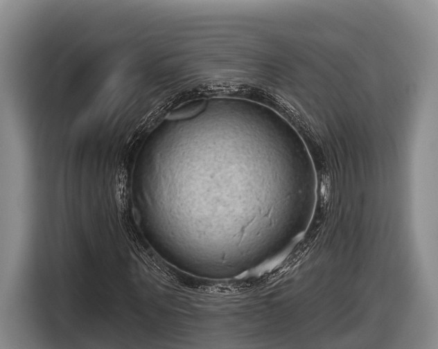 X0000116810867200912241219