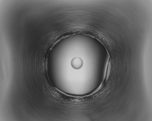 X0000116810868200912241219