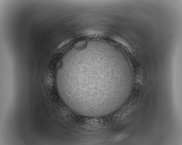 X0000116810869200912241219