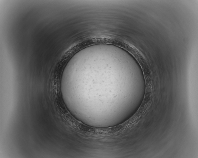 X0000116810870200912241219