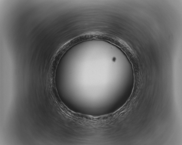 X0000116810872200912241219