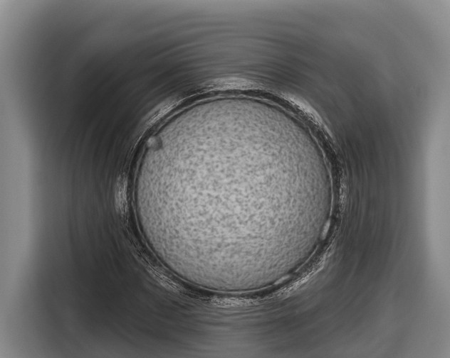 X0000116810873200912241219