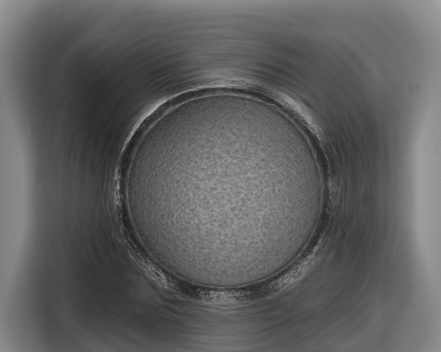 X0000116810875200912241219