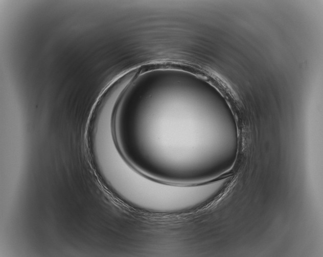 X0000116810876200912241219