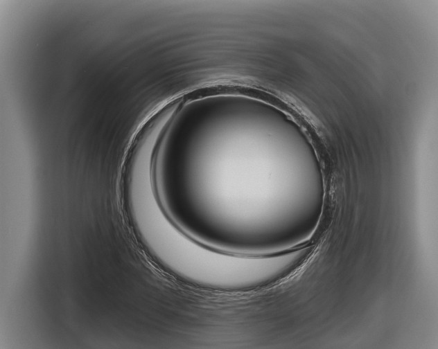 X0000116810877200912241219