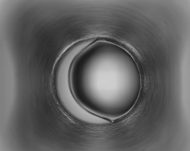 X0000116810878200912241219