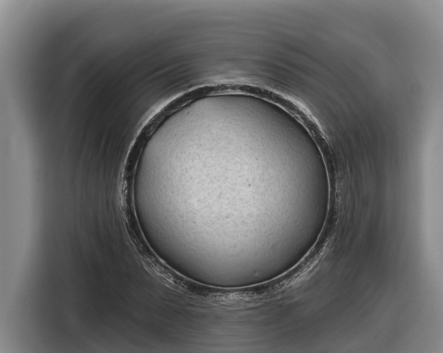 X0000116810879200912241219