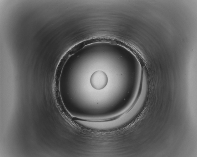 X0000116810880200912241219