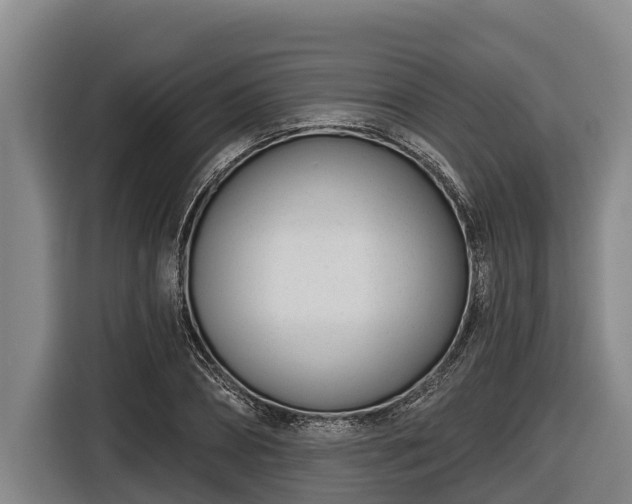 X0000116810882200912241219