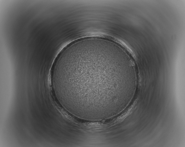 X0000116810883200912241219