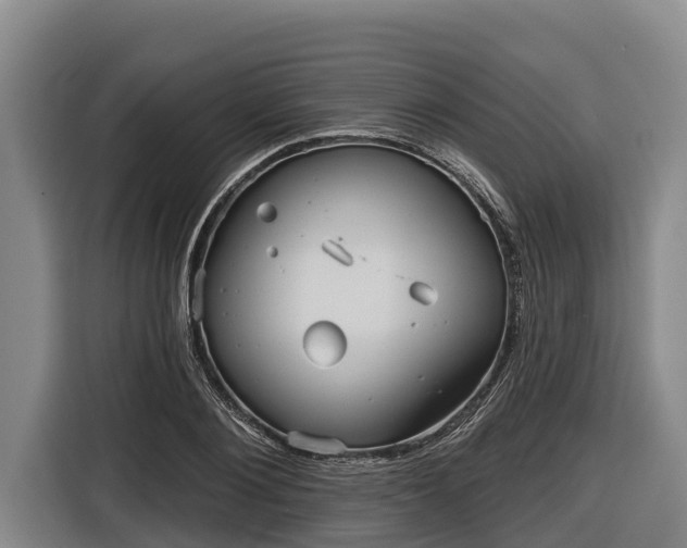 X0000116810884200912241219