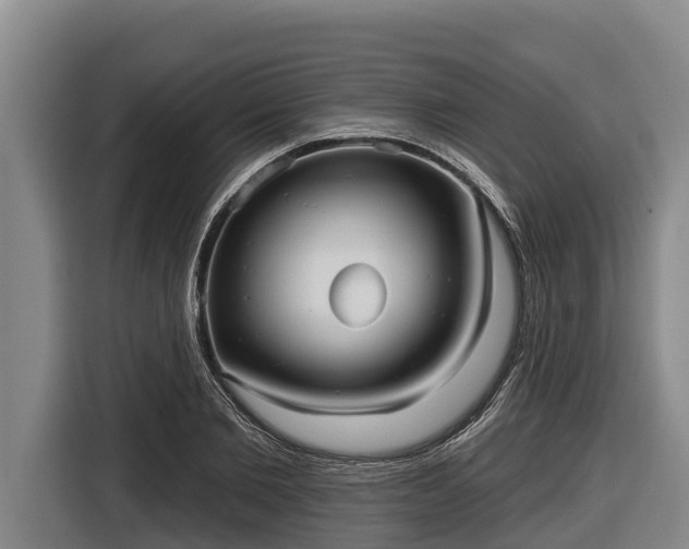 X0000116810885200912241219