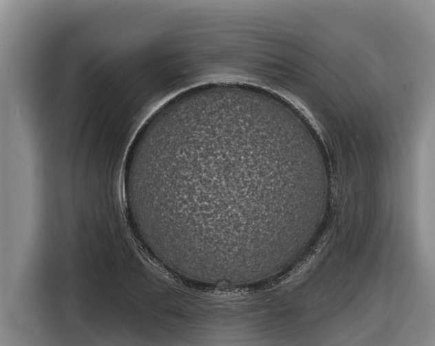 X0000116810887200912241219