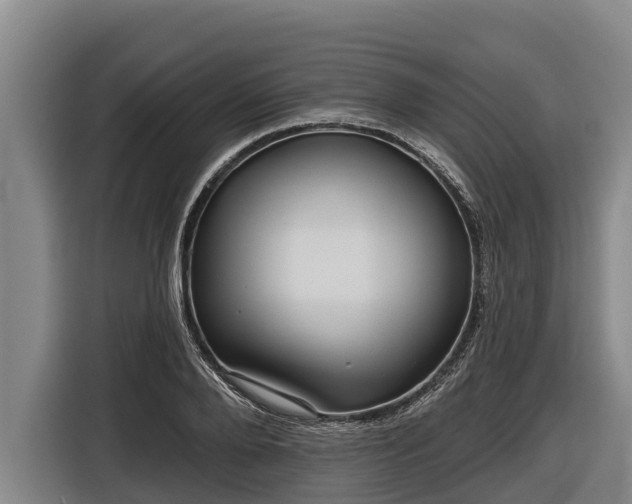 X0000116810888200912241219