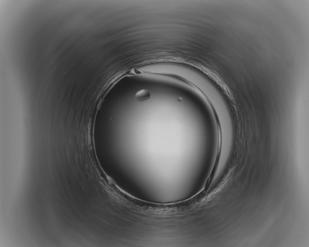 X0000116810889200912241219