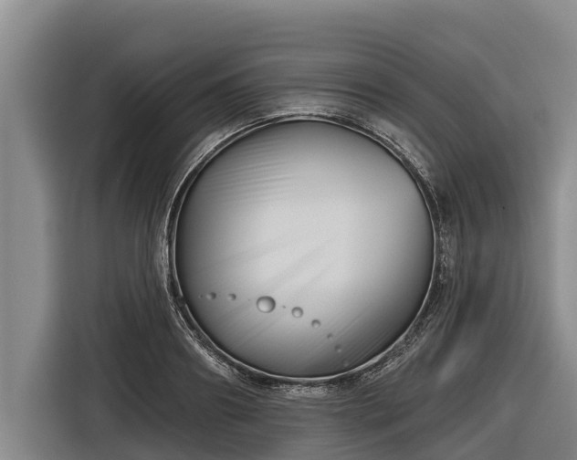 X0000116810890200912241219