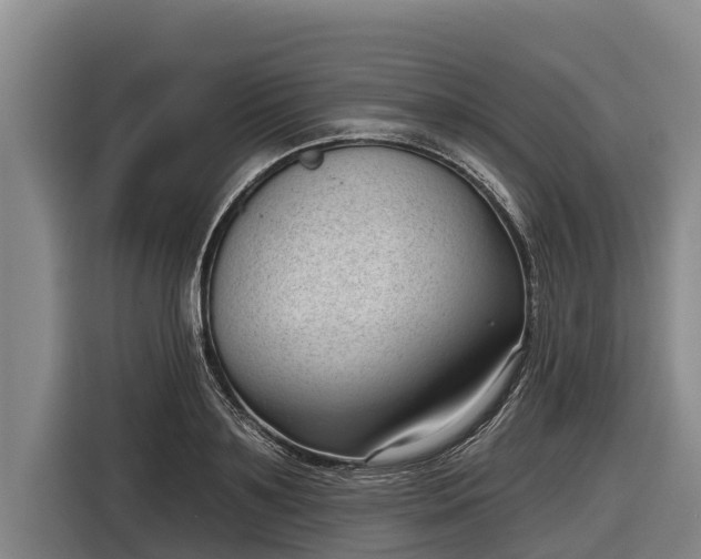 X0000116810891200912241219