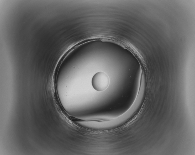 X0000116810892200912241219