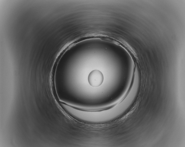 X0000116810893200912241219