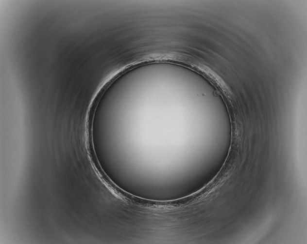 X0000116810894200912241219