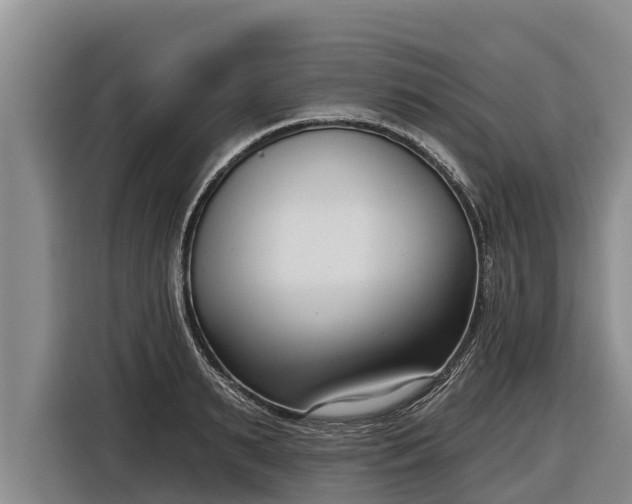 X0000116810895200912241219